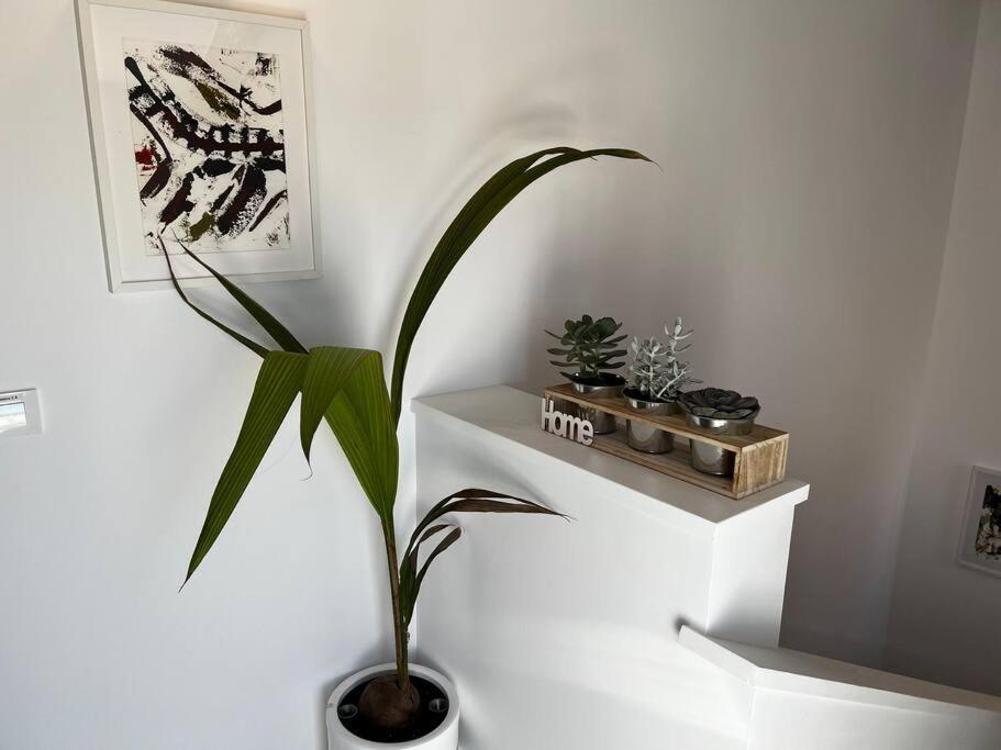 2B-Precioso Apartamento En Pleno Centro. A Estreno Alcazar de San Juan Dış mekan fotoğraf